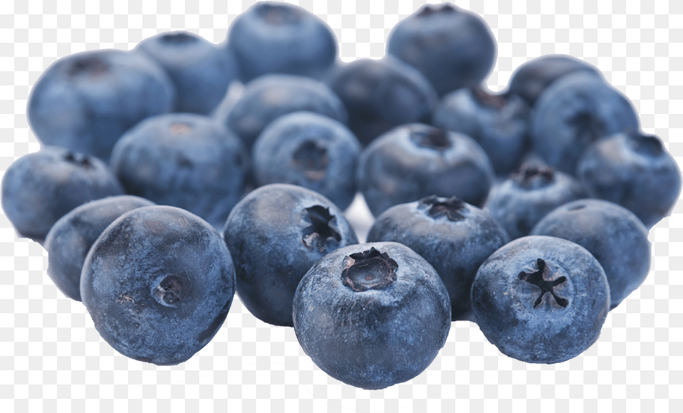 Blueberries Fruit, Berry, Blueberry, Food, Plant Png