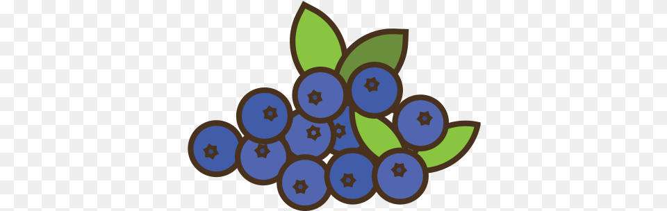 Blueberries Fruit Food Icon Of Diamond, Berry, Blueberry, Produce, Plant Free Png