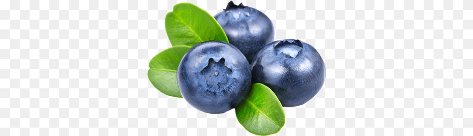 Blueberries Icon Blueberry Transparent, Berry, Food, Fruit, Plant Png Image