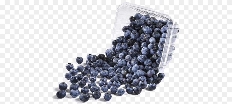 Blueberries Background Transparent Background Bowl Of Blueberries, Berry, Blueberry, Food, Fruit Png Image