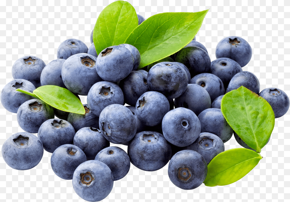 Blueberries Image Blueberries Png