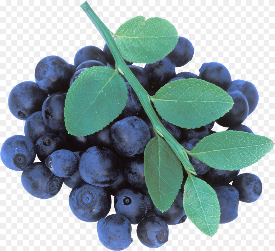 Blueberries Image Blueberry, Berry, Food, Fruit, Plant Png
