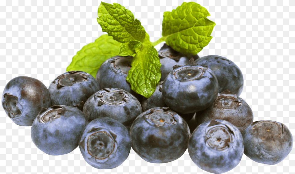 Blueberries Clipart Vectors High Resolution Blueberry, Berry, Food, Fruit, Plant Png Image