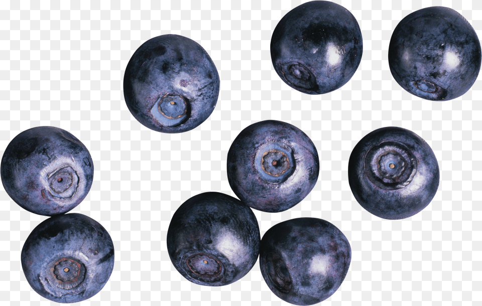 Blueberries For Black Currant And Blueberry, Purple, Food, Fruit, Plant Png Image