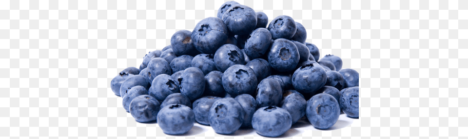 Blueberries Images Free Download, Berry, Blueberry, Food, Fruit Png Image