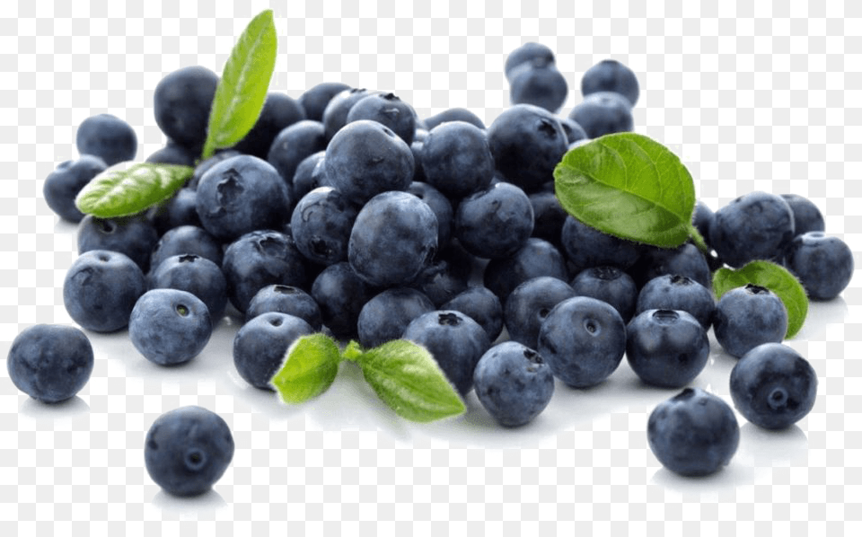 Blueberries Photo Blueberries, Berry, Blueberry, Food, Fruit Png