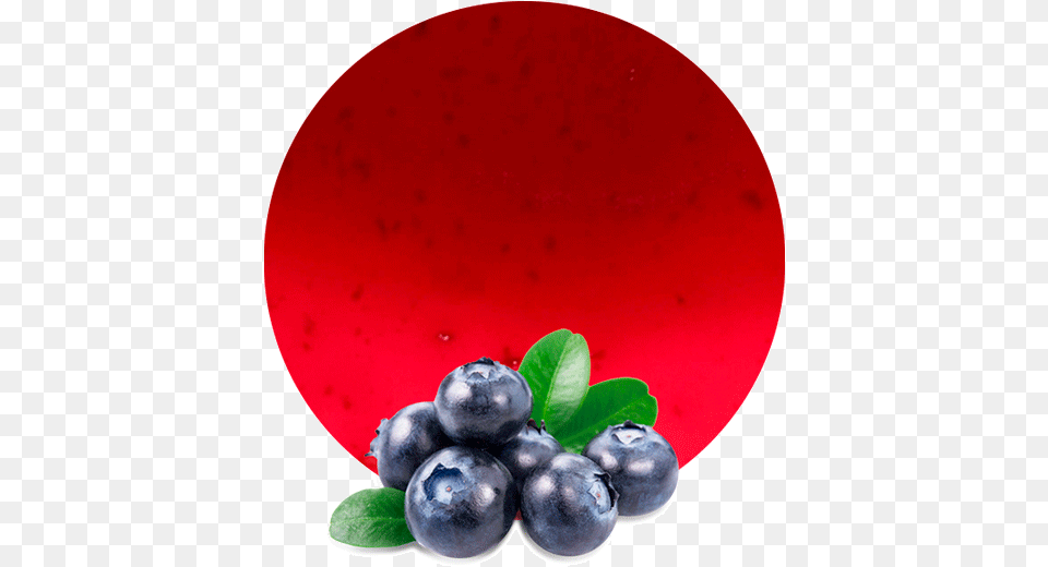 Blueberries Purple, Food, Produce, Plant, Berry Free Png Download