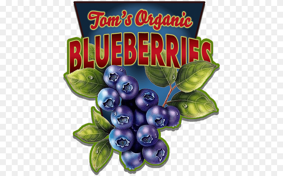Blueberries Shaped Sign Blueberry Signs, Plant, Berry, Food, Fruit Png