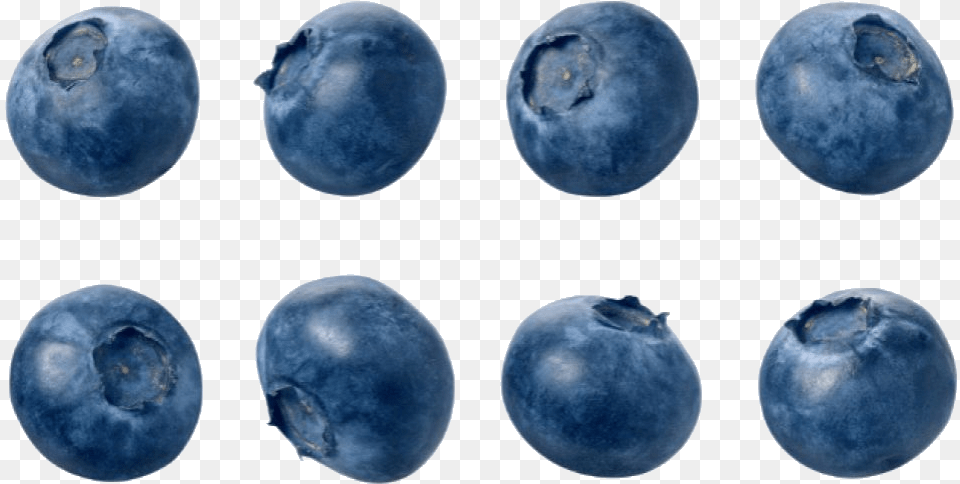 Blueberries Single Blueberry, Berry, Food, Fruit, Plant Free Png Download