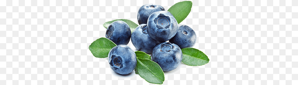 Blueberries Transparent Images Blueberry Transparent Background, Berry, Food, Fruit, Plant Free Png Download