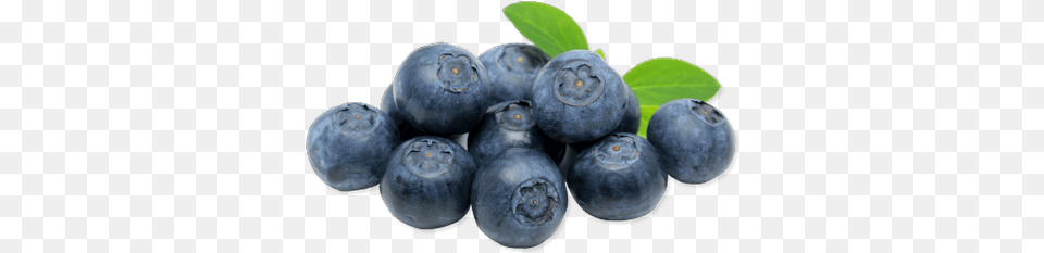 Blueberries Transparent Images Transparent Transparent Background Blueberries, Produce, Berry, Blueberry, Food Png Image