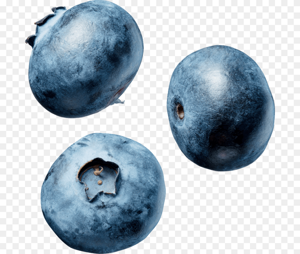 Blueberry, Berry, Food, Fruit, Plant Free Transparent Png