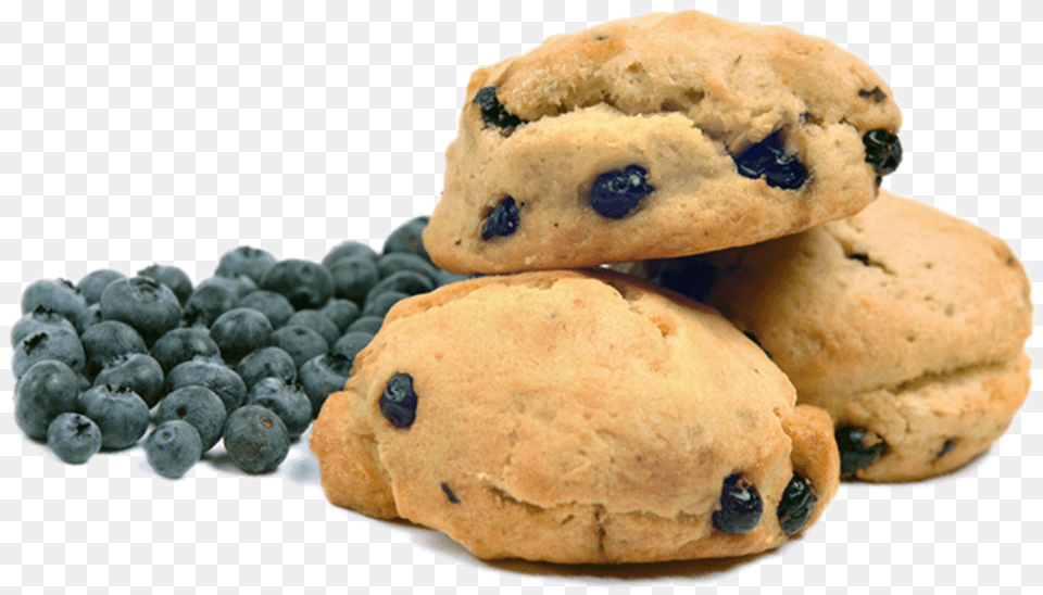 Blueberry, Berry, Bread, Food, Fruit Png Image
