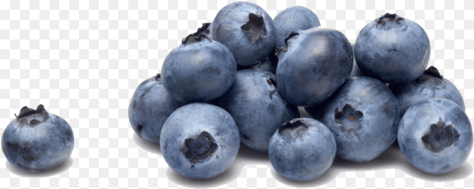 Blueberry, Berry, Food, Fruit, Plant Free Png