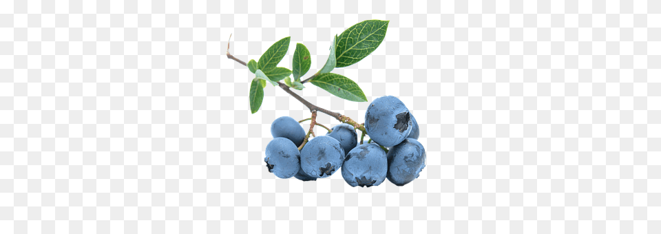 Blueberry Berry, Food, Fruit, Plant Free Png