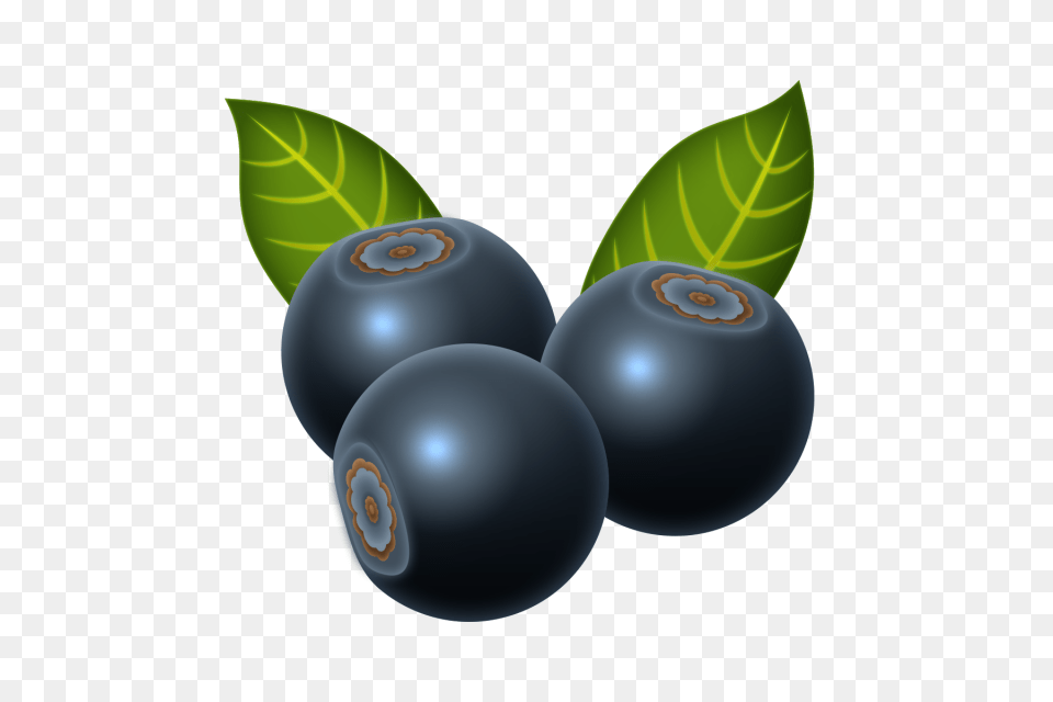 Blueberry Beautiful Vegetables Fruits And For, Berry, Food, Fruit, Plant Png Image