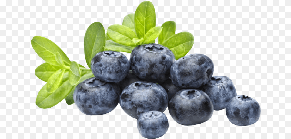 Blueberry Blubarry, Berry, Food, Fruit, Plant Free Transparent Png