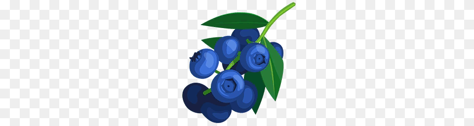 Blueberry Bush Clipart Clip Art Images, Berry, Food, Fruit, Plant Png