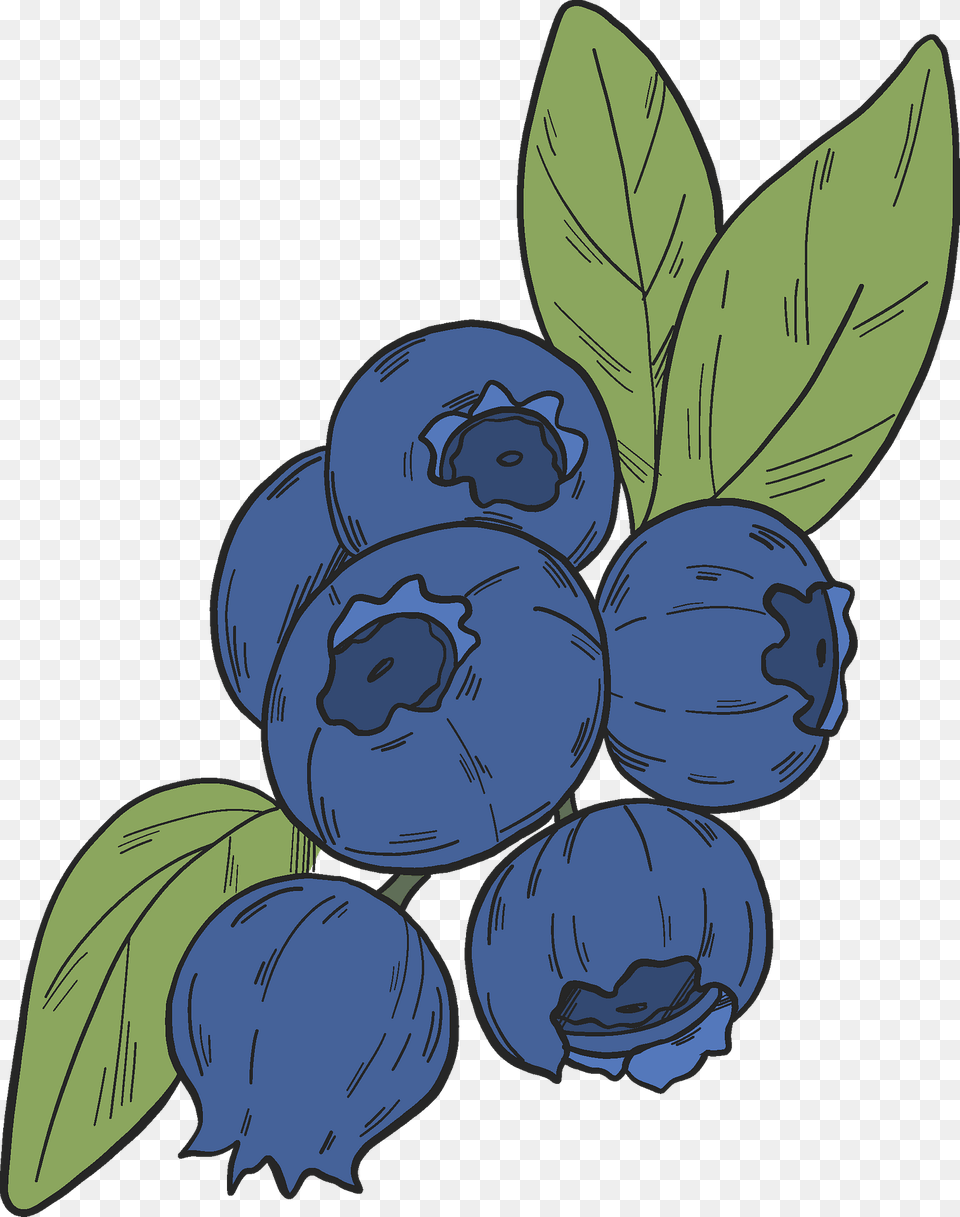 Blueberry Clipart, Produce, Plant, Fruit, Food Png