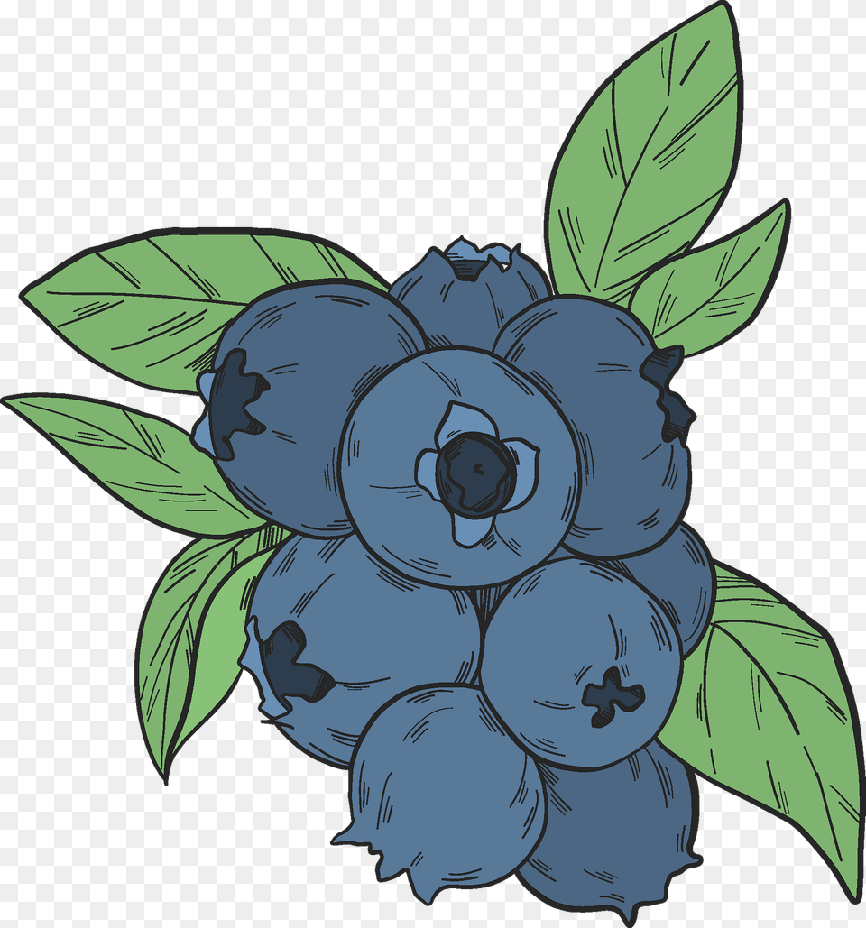 Blueberry Clipart, Produce, Plant, Fruit, Food Free Transparent Png