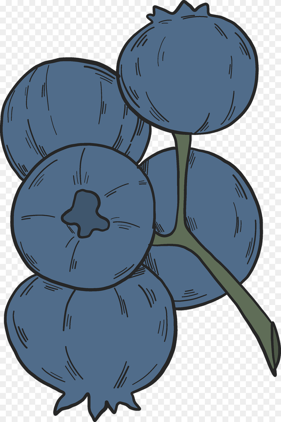 Blueberry Clipart, Berry, Food, Fruit, Plant Png