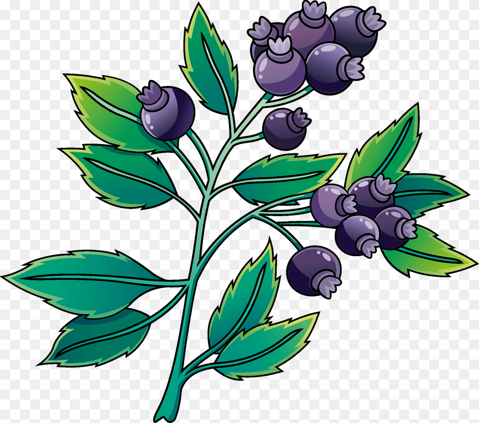 Blueberry Clipart, Berry, Food, Fruit, Plant Png