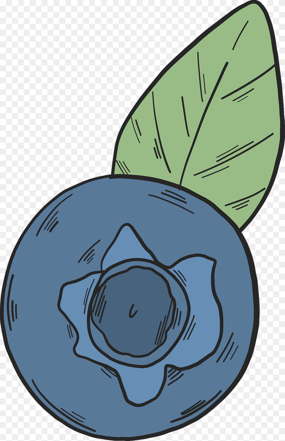 Blueberry Clipart, Berry, Food, Fruit, Plant Png