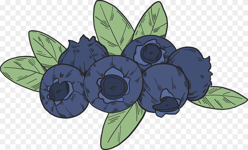 Blueberry Clipart, Berry, Food, Fruit, Plant Free Png Download