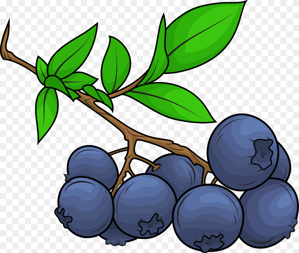 Blueberry Clipart, Berry, Food, Fruit, Plant Free Png Download