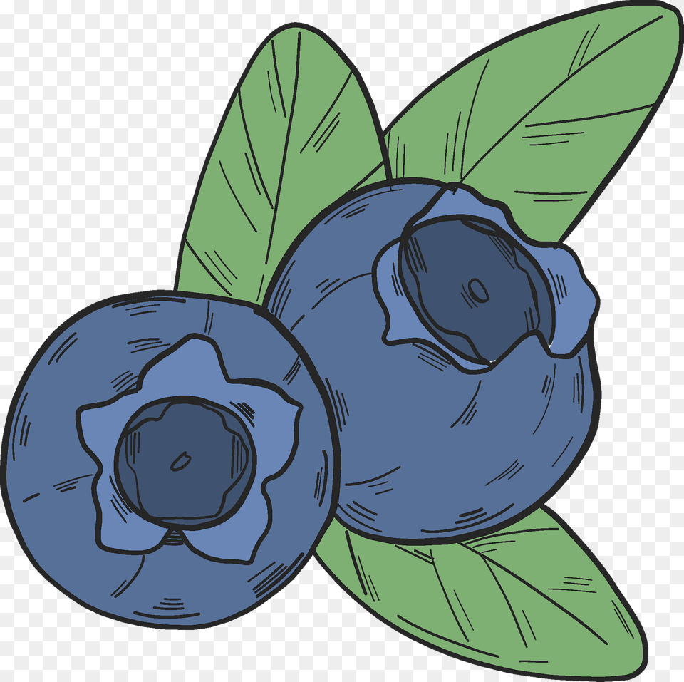 Blueberry Clipart, Berry, Food, Fruit, Plant Png Image