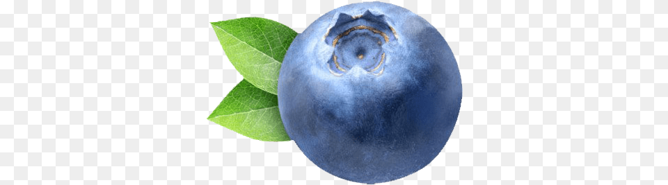 Blueberry Clipart Blueberry, Produce, Berry, Food, Fruit Png