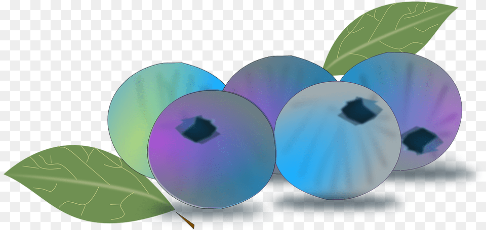 Blueberry Clipart Blueberry, Berry, Food, Fruit, Plant Png Image