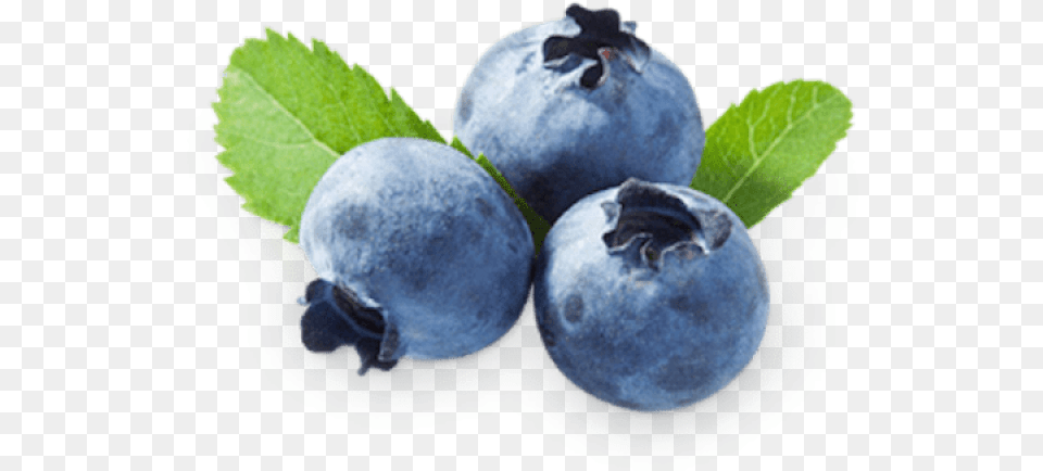 Blueberry Clipart Juniper Berry Blueberry And Strawberry Nutrition, Food, Fruit, Plant, Produce Free Png