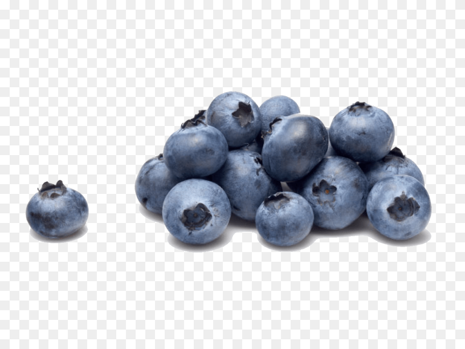 Blueberry Clipart Produccin De Arndanos En El Per 2020, Berry, Food, Fruit, Plant Free Png