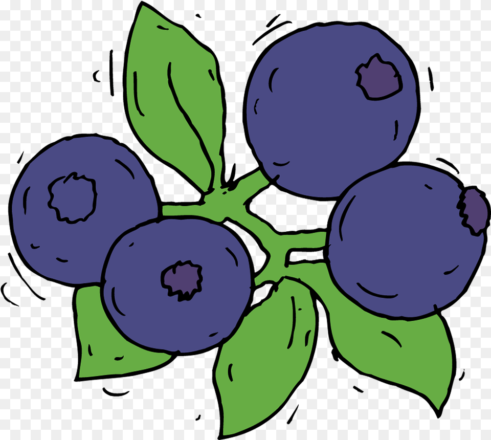 Blueberry Collection Fruit Draw Blue Berry Drawing Fruits Images Blueberry, Produce, Plant, Food, Person Free Transparent Png