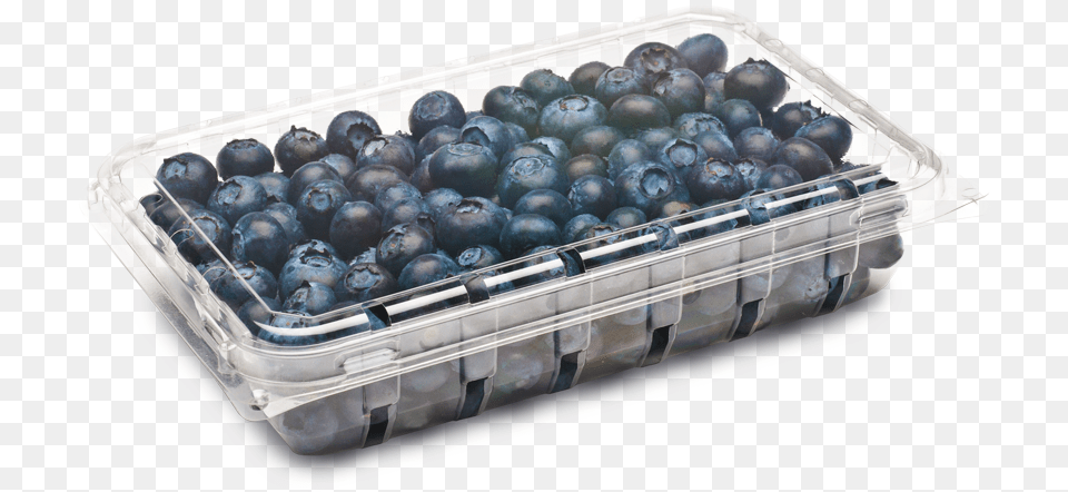 Blueberry Containers, Berry, Food, Fruit, Plant Free Png