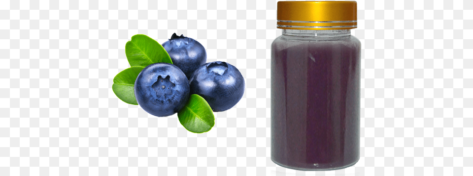 Blueberry Extract Background Blueberry, Berry, Food, Fruit, Plant Free Transparent Png