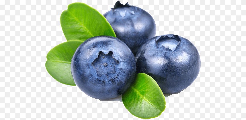 Blueberry File Background Blueberry, Berry, Food, Fruit, Plant Png Image