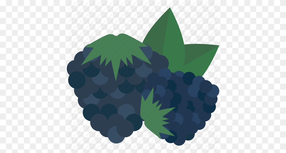 Blueberry Food Fruits Sheet Sweet Icon, Berry, Fruit, Plant, Produce Png