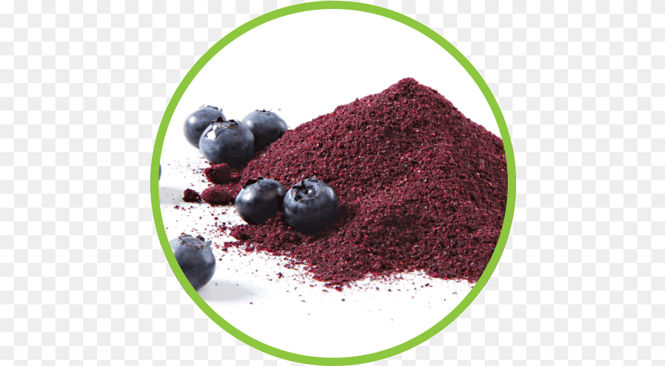 Blueberry Freeze Dried Blueberries Powder, Berry, Plant, Fruit, Food Png