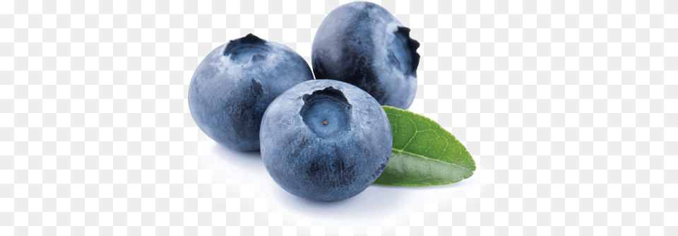 Blueberry Germinal Organic Food, Berry, Fruit, Plant, Produce Png Image
