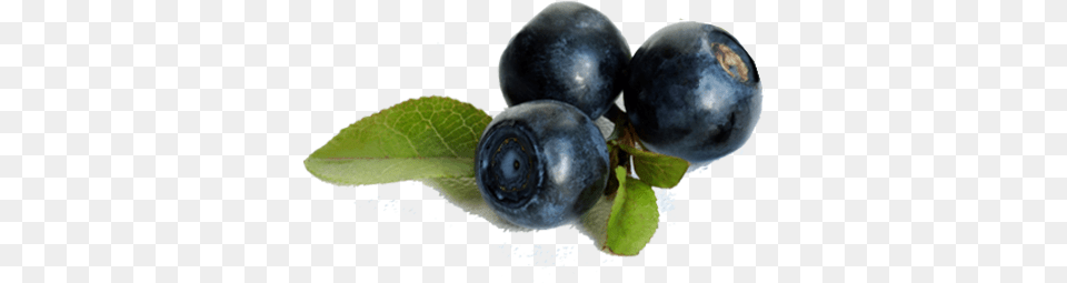 Blueberry Granovita Linusprout Org Sprouted Flax Powder, Berry, Food, Fruit, Plant Free Png