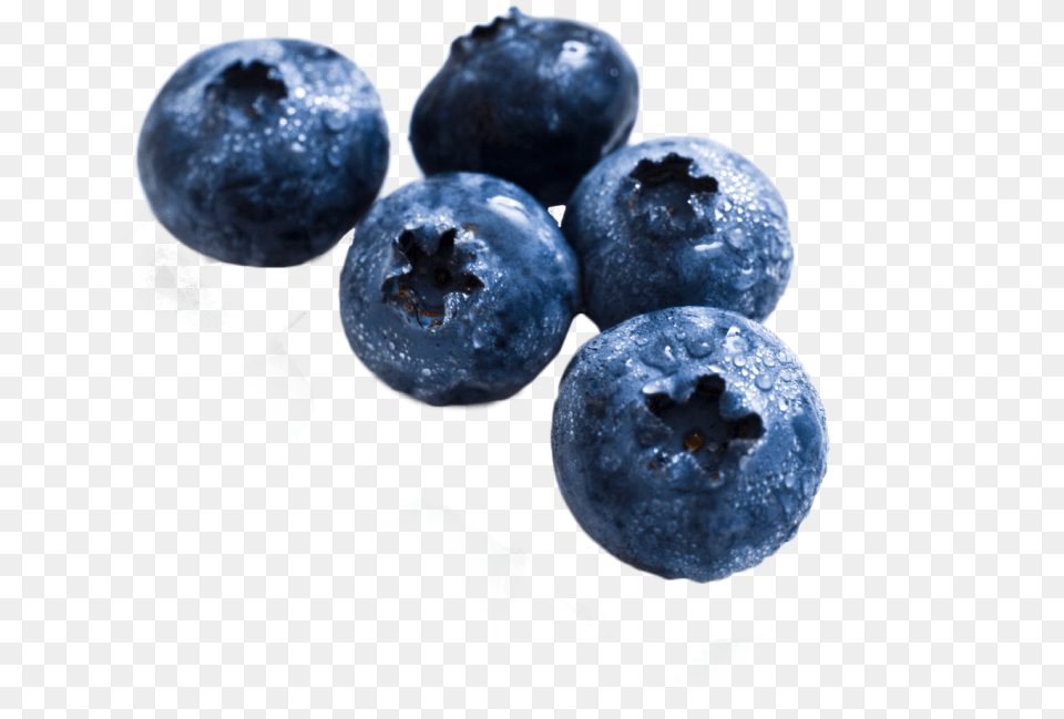 Blueberry Real Fruit Pictures To Print, Berry, Food, Plant, Produce Png Image