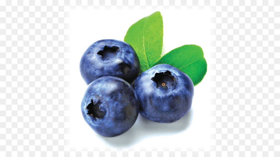 Blueberry Imported Fruits In India, Berry, Food, Fruit, Plant Png