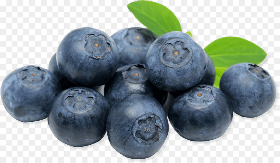 Blueberry In France, Berry, Food, Fruit, Plant Free Png Download