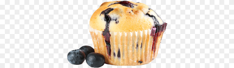 Blueberry Muffin, Berry, Food, Fruit, Plant Free Png Download