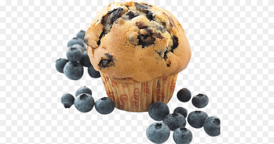 Blueberry Muffin, Berry, Plant, Fruit, Food Free Transparent Png