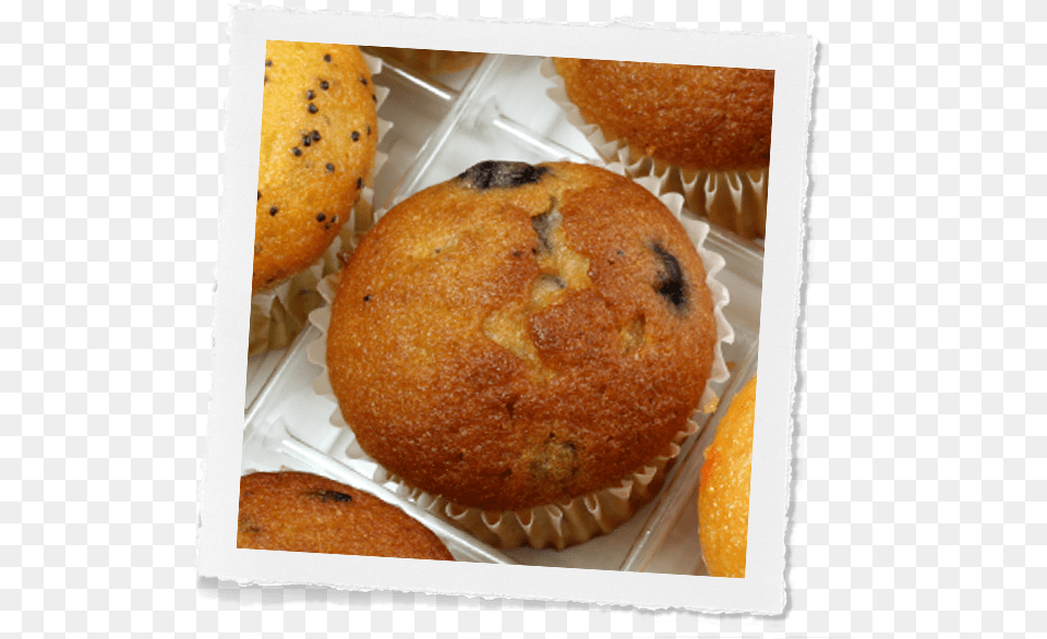 Blueberry Muffins Muffin, Food, Sandwich, Dessert, Bread Free Transparent Png