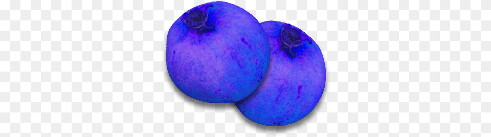 Blueberry Official Journey Of Life Wiki Blueberry, Produce, Food, Fruit, Plant Png Image