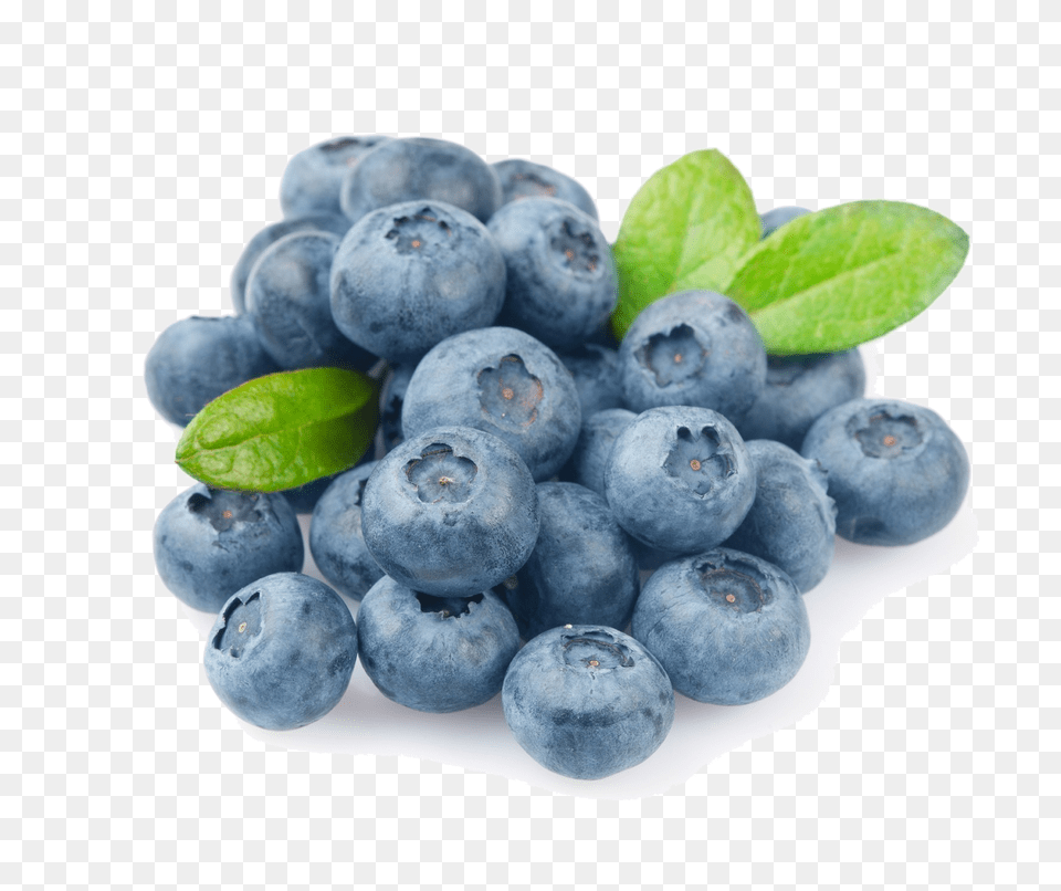 Blueberry Photo Fresh Blueberries, Berry, Food, Fruit, Plant Free Png Download